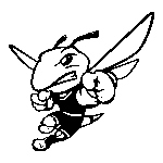 American International College Yellow Jackets Logo Transparent PNG