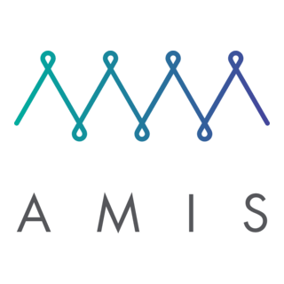 Amis Digital Asset Custody
