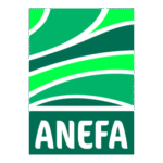 Anefa Logo Transparent PNG