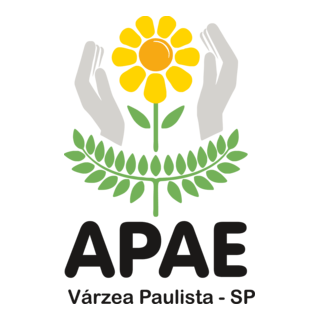 Apae – Rio Do Sul