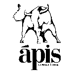 Ápis Investimentos Logo Transparent PNG