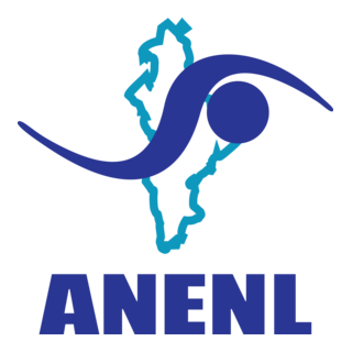 Asociación De Natación Del Estado De Nuevo León