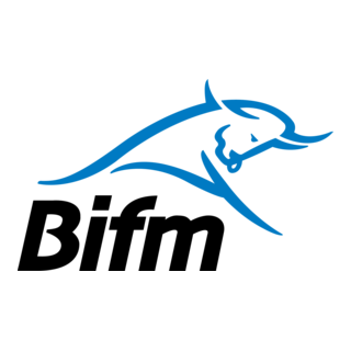 BOTSWANA HOLDINGS LIMITED