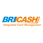 BRICASH Logo Transparent PNG
