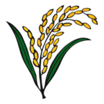 Bangladesh Nationalist Party Election Symbol Logo Transparent PNG