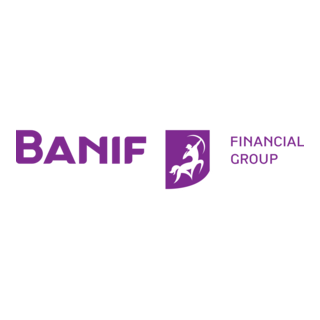 Banif Financial Group Horizontal Positive