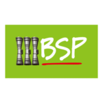 Bank South Pacific BSP Logo Transparent PNG
