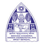 Bckv Logo Transparent PNG