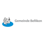Bellikon Logo Transparent PNG