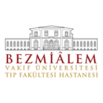 Bezmialem Vakıf Üniversitesi Logo Transparent PNG