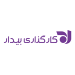 Bidar Brokerage Logo Transparent PNG