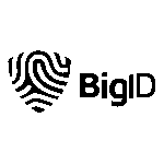 Bigid Logo Transparent PNG
