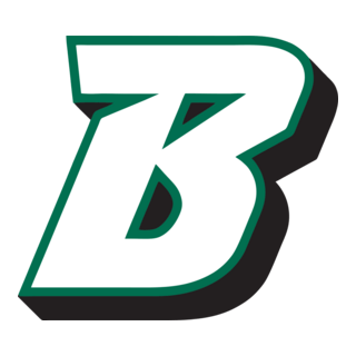 Binghamton University