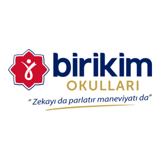 Birikim Okulları