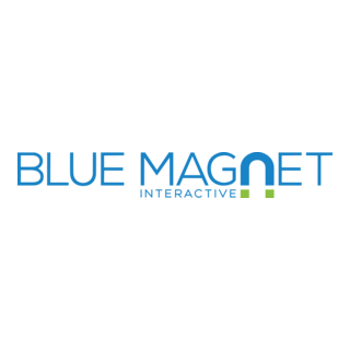 Blue Magnet Interactive