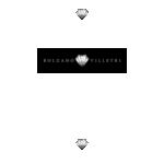 Bolzano Villetri Logo Transparent PNG