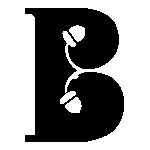 Brandingnuts Logo Transparent PNG