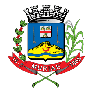 Brasão De Muriaé MG Brasil