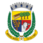 Brasil Novo Brasão Logo Transparent PNG