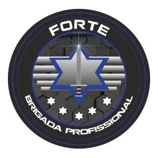 Brigada Forte Operações