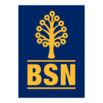 Bsn Logo Transparent PNG