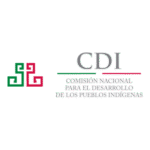 CDI Logo Transparent PNG