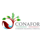 CONAFOR Logo Transparent PNG