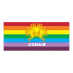 CONAIE Logo Transparent PNG