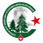 Çam Der Logo Transparent PNG