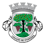 Camara Municipal De Paredes Logo Transparent PNG