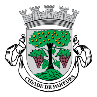 Camara Municipal De Paredes