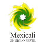 Centenario De Mexicali Logo Transparent PNG