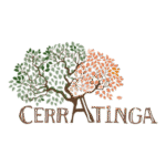 Cerratinga Logo Transparent PNG