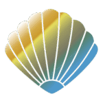 Clams CLAM Logo Transparent PNG