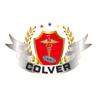 Colegio De Puno