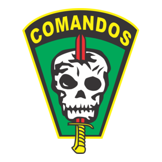 Comandos E Operadores De Forças Especiais Fes