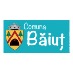 Comuna Baiut Logo Transparent PNG