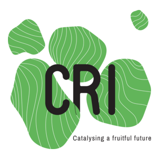 Cri Centre De Recherches Interdisciplinaires