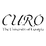 Curo Logo Transparent PNG
