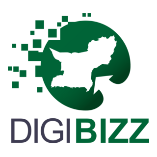 Digibizz Training Program