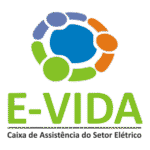 E VIDA Logo Transparent PNG