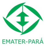 EMATER PARÁ Logo Transparent PNG