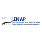 ENAP Logo Transparent PNG