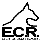 Ecr Logo Transparent PNG
