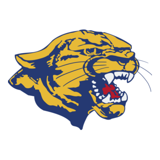 Edinburg North Cougars