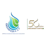 Emserfusa ESP Logo Transparent PNG
