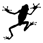 Especie Soluзхes Web A Marca Da Perereca Logo Transparent PNG
