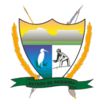 Estado De Roraima Logo Transparent PNG