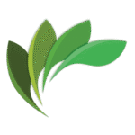 Explore Canvas Logo Transparent PNG