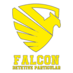 FALCON Detetive Particular Logo Transparent PNG